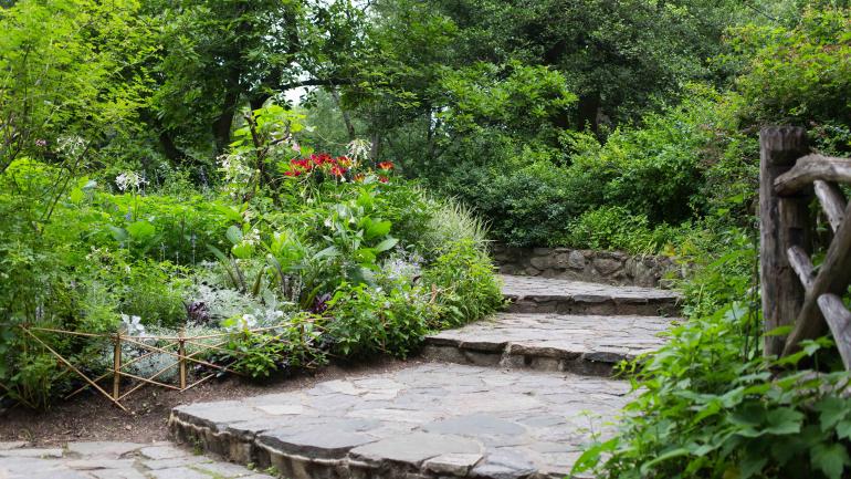 中央公园历史悠久的瞭望台城堡旁一条风景优美的小径静静延伸