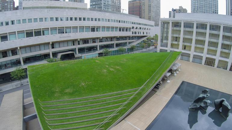 林肯餐厅的屋顶是一片草坪