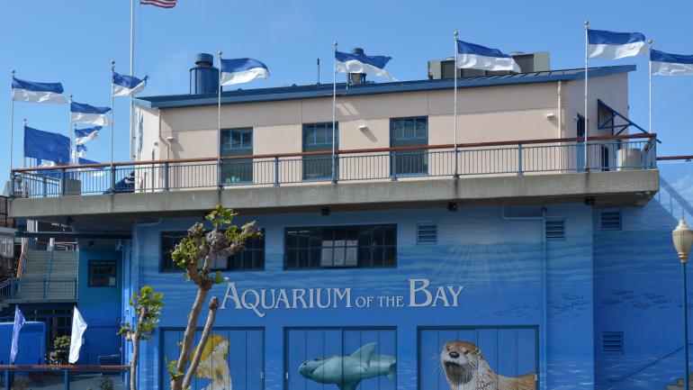 海湾水族馆外的一幅壁画