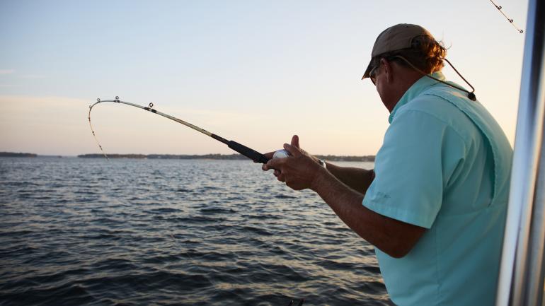 在默里湖上垂钓，收起鱼线钓上一条鱼