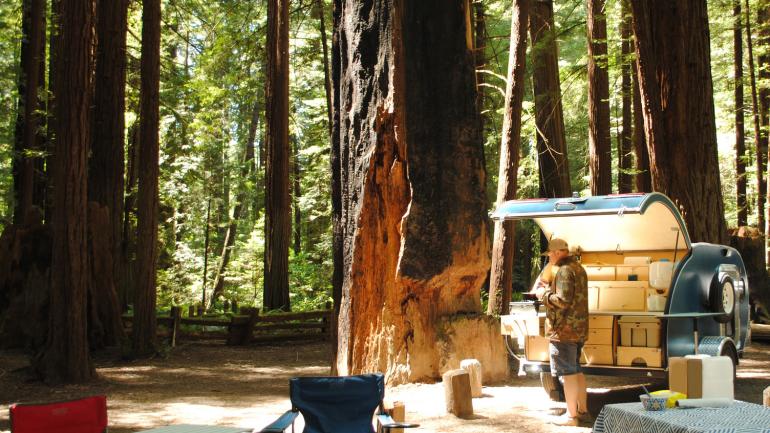 在红杉国家公园内野炊