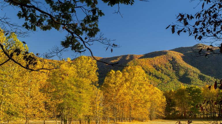 开字山凹的初秋景致 开字山凹的初秋景致