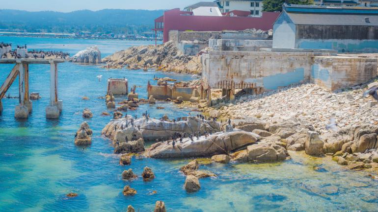 罐头厂街边波光粼粼的蓝色水域