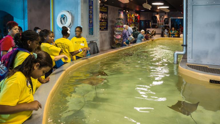 孩子们在黄貂鱼水族区域抚摸黄貂鱼