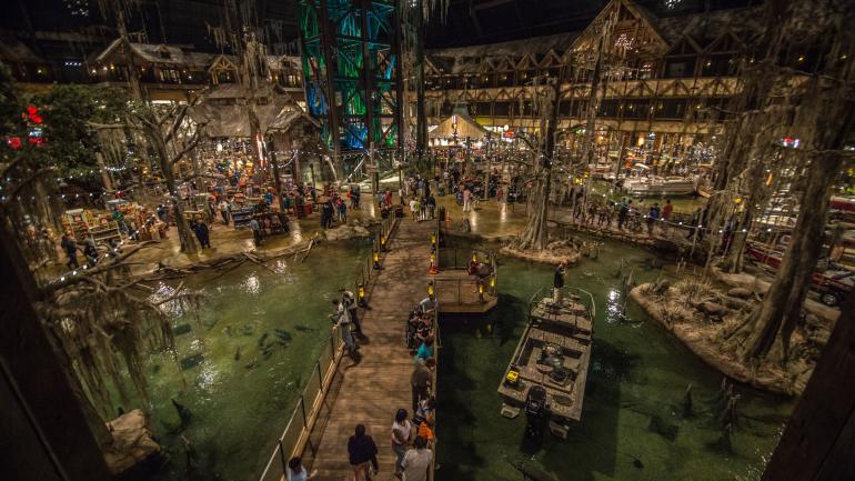 在 Bass Pro Shops at the Pyramid 户外用品店的室内沼泽地里畅游的鳄鱼和鱼类 在 Bass Pro Shops at the Pyramid 户外用品店的室内沼泽地里畅游的鳄鱼和鱼类