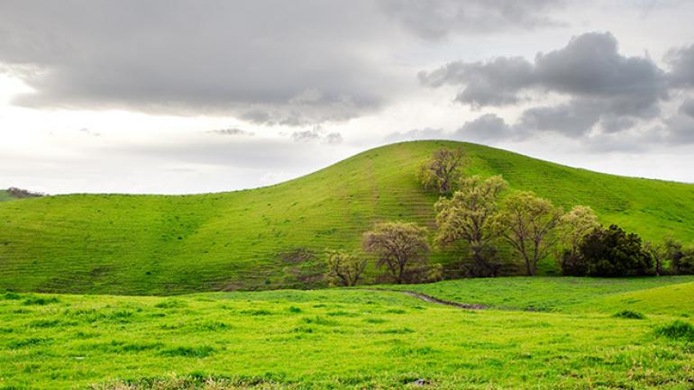 在都柏林遗址公园的绿色草坪上野餐 在都柏林遗址公园的绿色草坪上野餐
