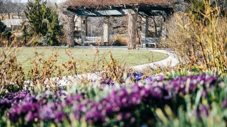 雷德山花园步行道,春季花蕾即将绽放 雷德山花园步行道,春季花蕾即将绽放