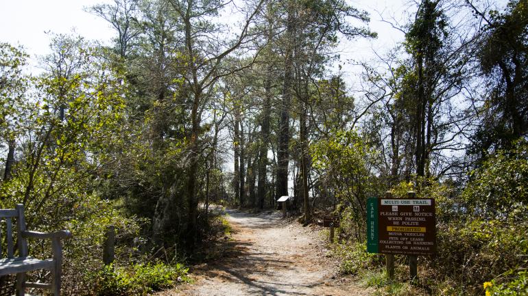 首次登陆地州立公园内的一条徒步和骑行小径
