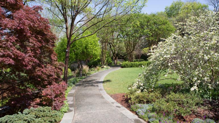 在花园内的林荫小道上行走