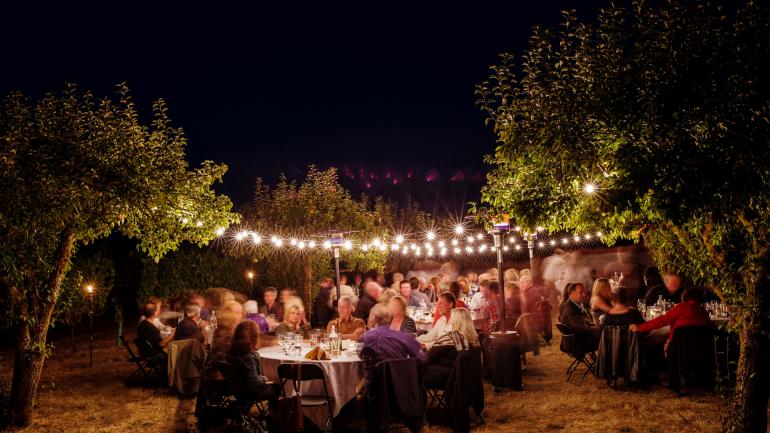 在当地葡萄园中,配着葡萄酒享用星空晚餐 在当地葡萄园中,配着葡萄酒享用星空晚餐