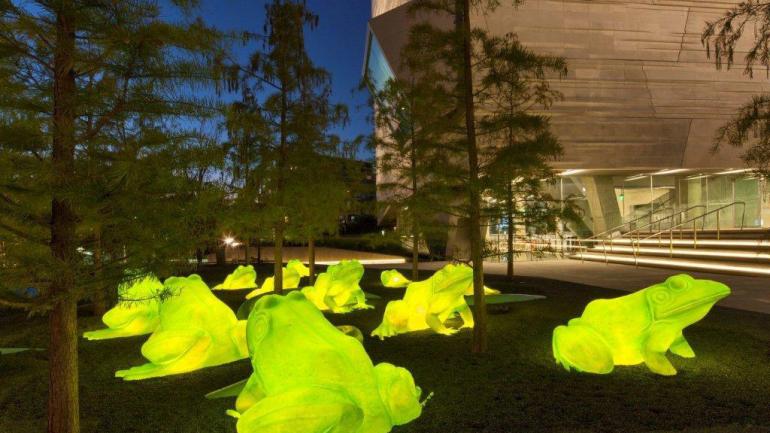 跳蛙森林里的巨大发光牛蛙