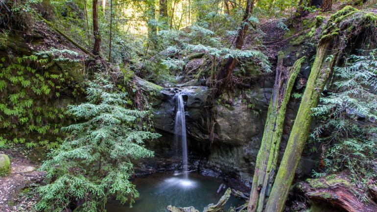 大盆地红木州立公园内的 Sempervirens Falls 瀑布 大盆地红木州立公园内的 Sempervirens Falls 瀑布