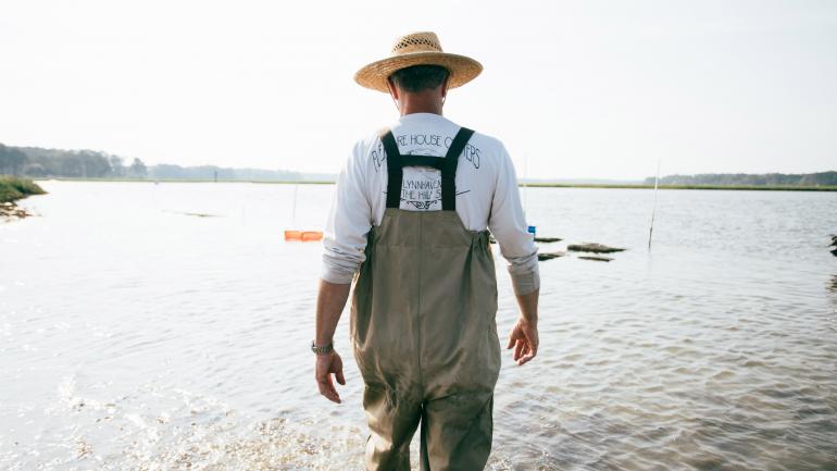 欢乐之家牡蛎之旅的一位农场主带领游客前往农场，直接从海湾捕捞新鲜的牡蛎