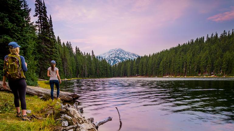 托德湖附近一条徒步小径的黄昏景致