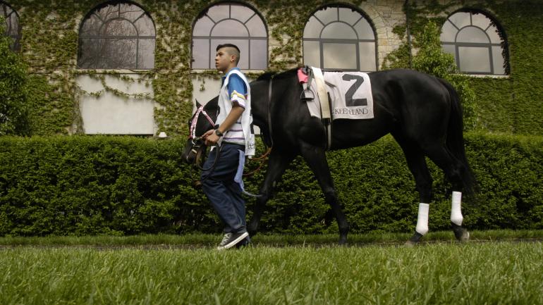 在基恩兰德和肯塔基州的其他地方观赏神奇的纯种马 在基恩兰德和肯塔基州的其他地方观赏神奇的纯种马