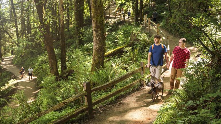 享受风景秀美的森林公园徒步小径