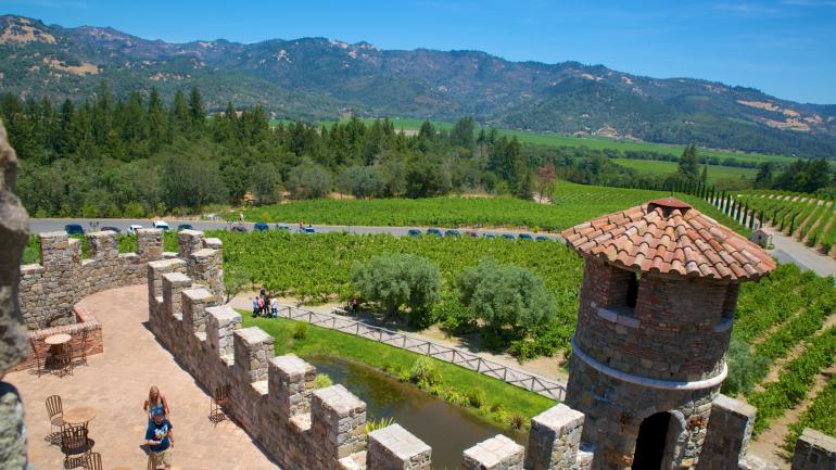 Castello Di Amorosa葡萄园美景