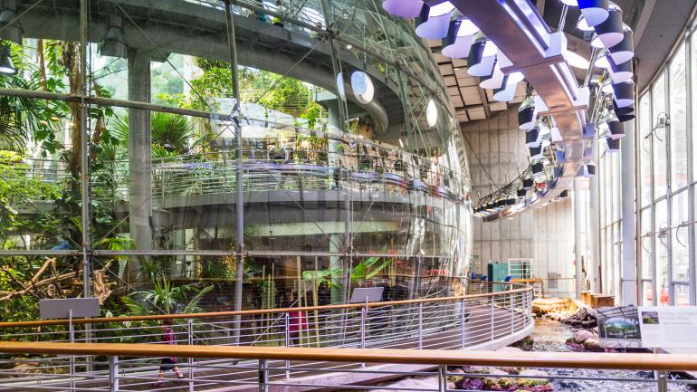 拥有超过1600种动植物的热带雨林室