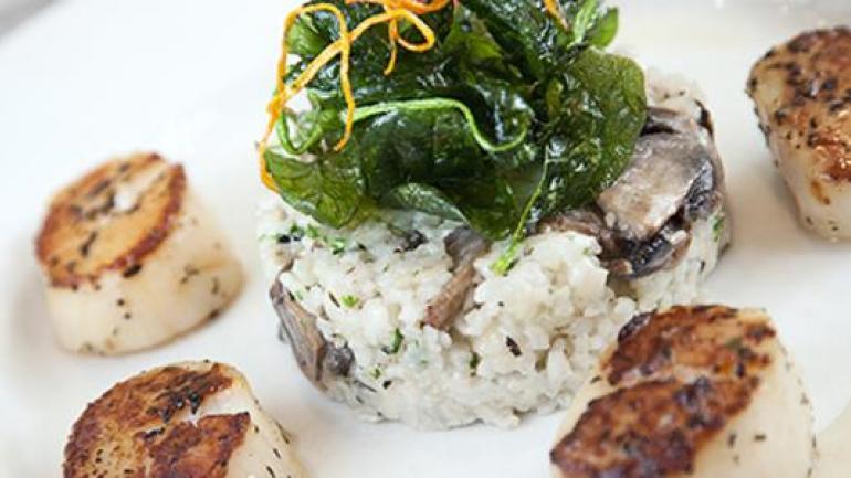 令人馋涎欲滴的扇贝