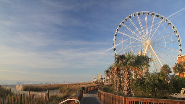 当你漫步在木板人行道上时，享受一条风景优美的自然小径