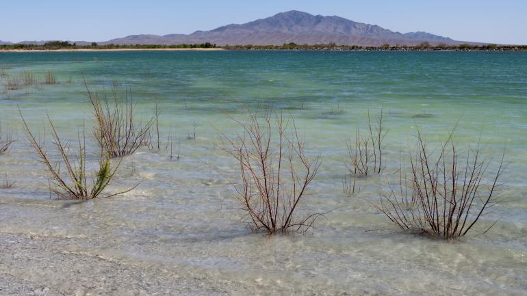 阿什梅多斯国家野生动物保护区Crystal Spring的蓝绿湖水 阿什梅多斯国家野生动物保护区Crystal Spring的蓝绿湖水