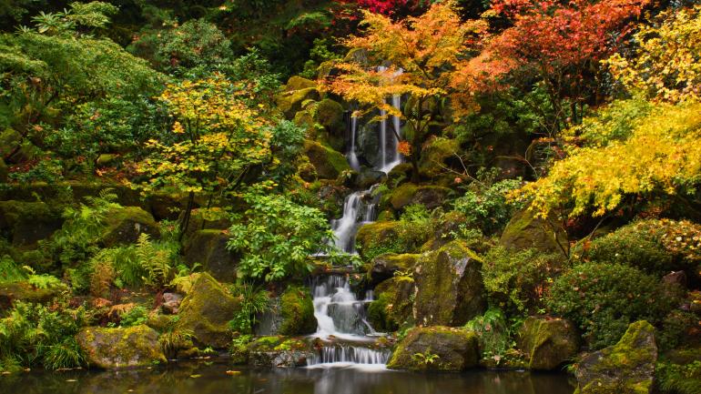 波特兰日本庭园 波特兰日本庭园