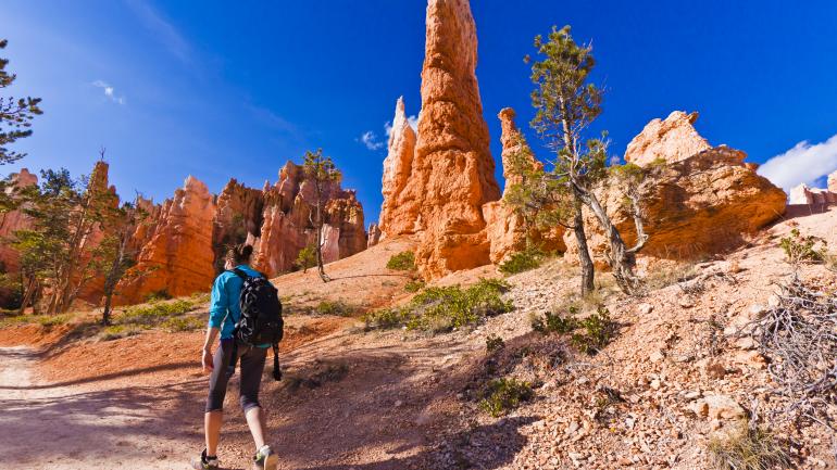 Bryce National Park