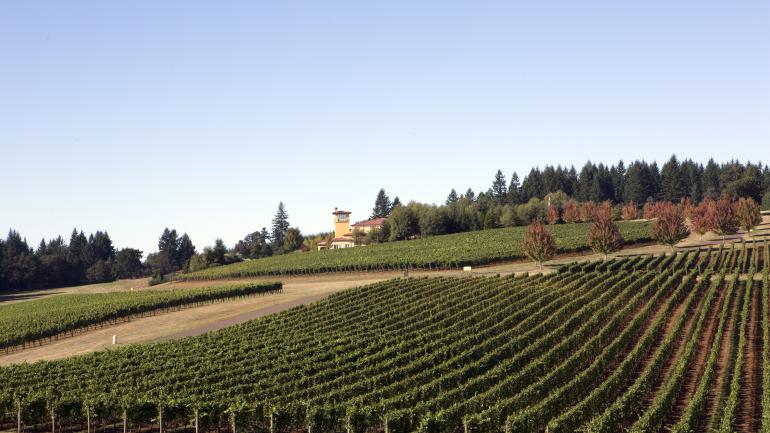 Willamette山谷区的酒庄 Willamette山谷区的酒庄