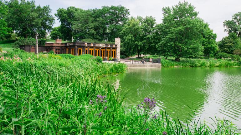 位于林肯公园街区的北塘自然保护区