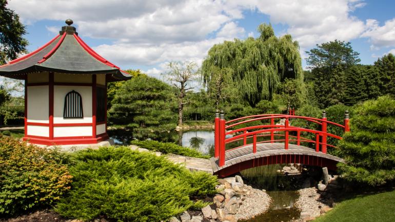 诺曼戴尔社区学院的日本园林 诺曼戴尔社区学院的日本园林