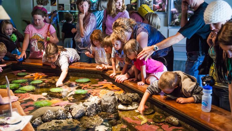 纽波特水族馆 纽波特水族馆