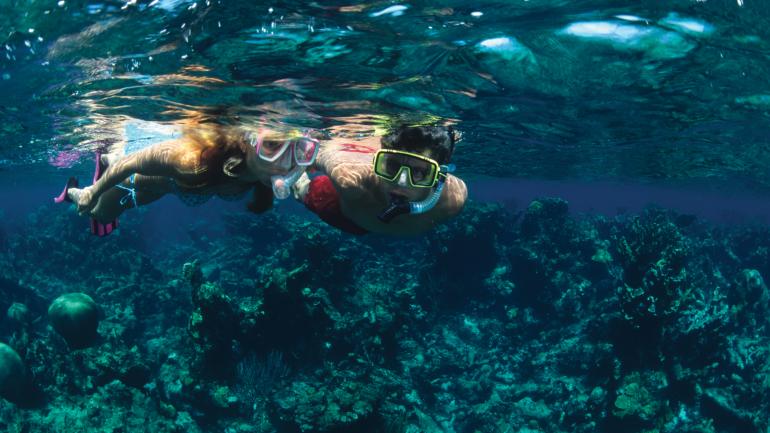 在圣托马斯岛清澈的海水里浮潜