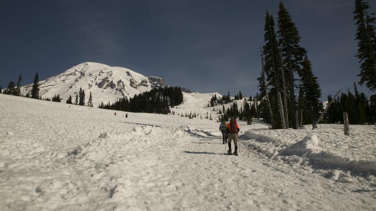 在雷尼尔山国家公园登山