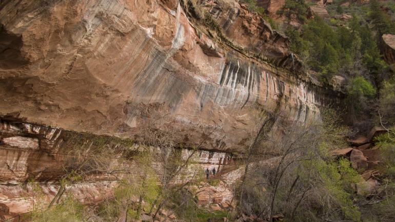 锡安公园Weeping Rock