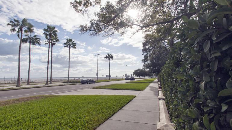 世界上最长的人行道--7.2公里的Bayshore Boulevard