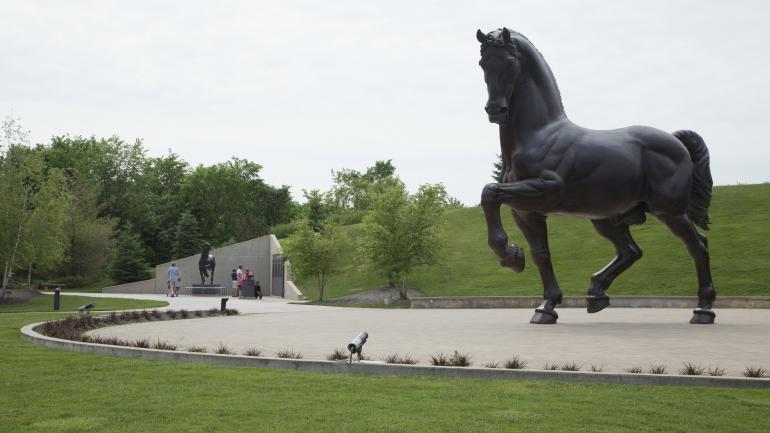 由大师NIna Akamu打造的铜像-美国之马