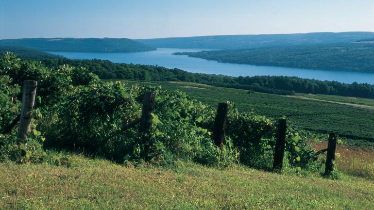 夏天的库克湖 夏天的库克湖