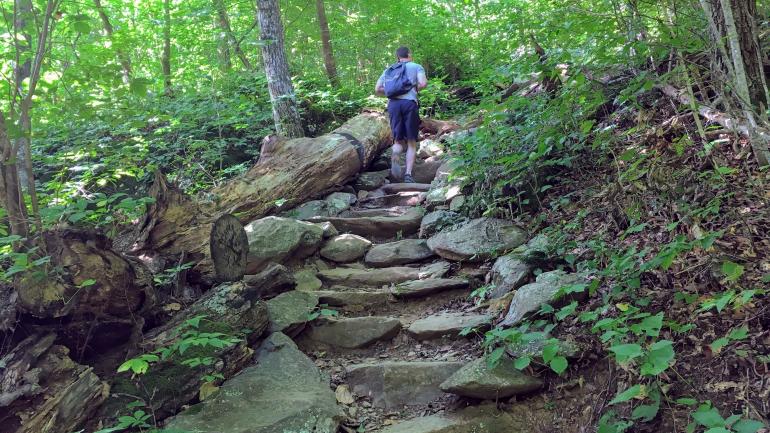 雪兰多国家公园内的雪松跑道