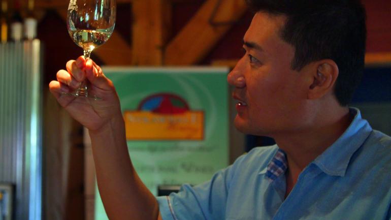 在Strawbale酒庄品酒 在Strawbale酒庄品酒