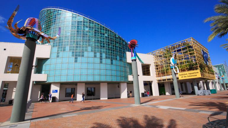 拥有新奇外形的新奥尔良奥杜邦水族馆