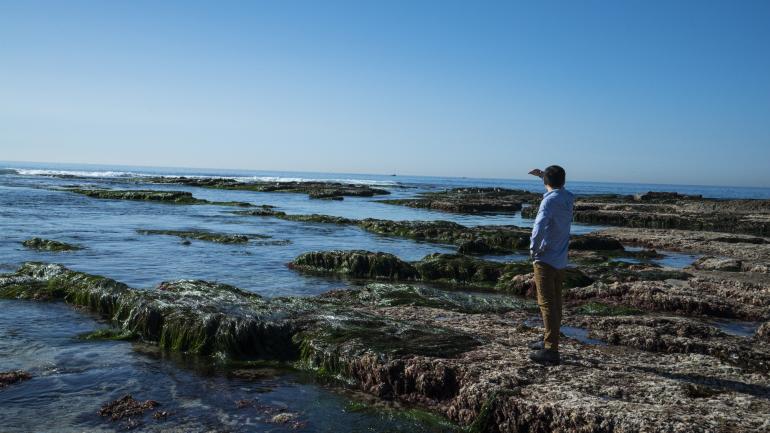 欣赏拉霍亚海湾的美丽海景