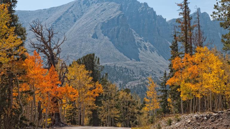 一条从惠勒峰通往大盆地国家公园的道路 一条从惠勒峰通往大盆地国家公园的道路
