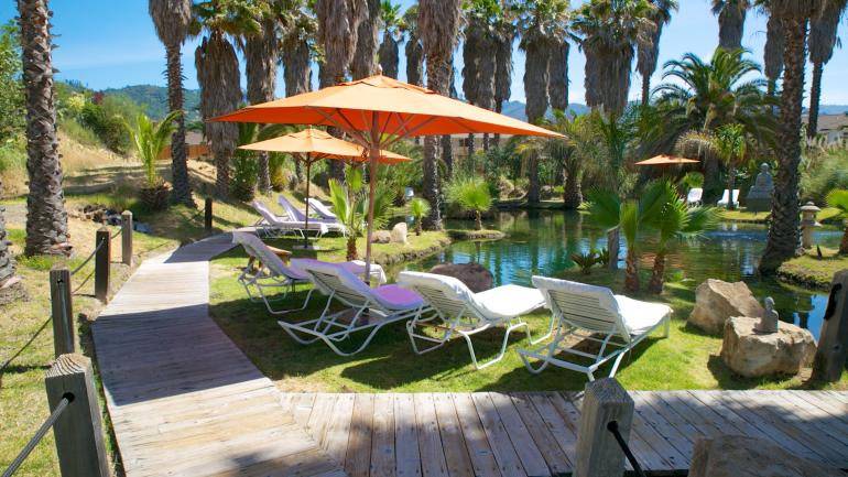 Calistoga温泉的躺椅