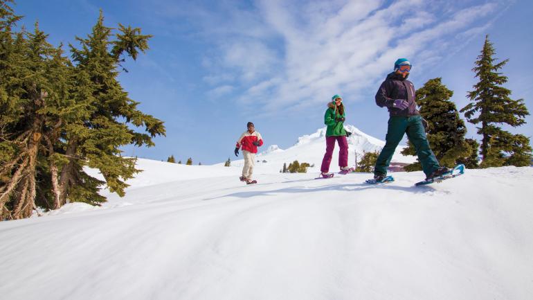 胡德山滑雪 胡德山滑雪