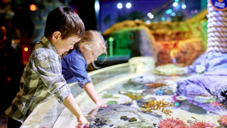 美国商城水族馆的触摸池 美国商城水族馆的触摸池