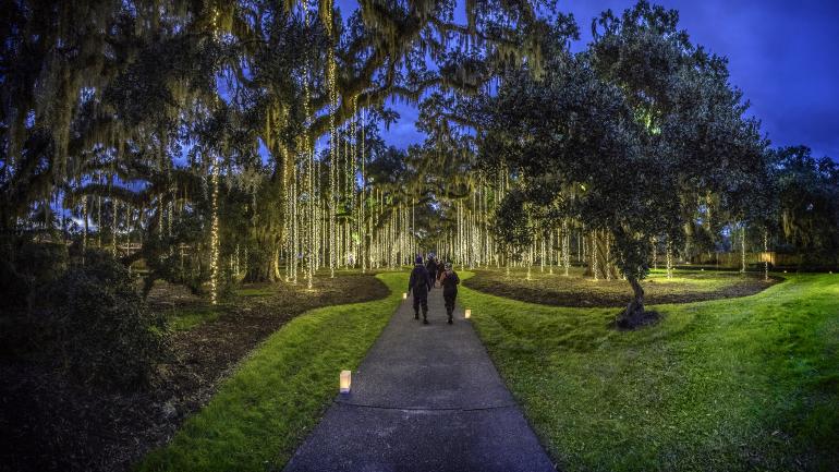 一千只蜡烛点亮夜晚的花园 一千只蜡烛点亮夜晚的花园