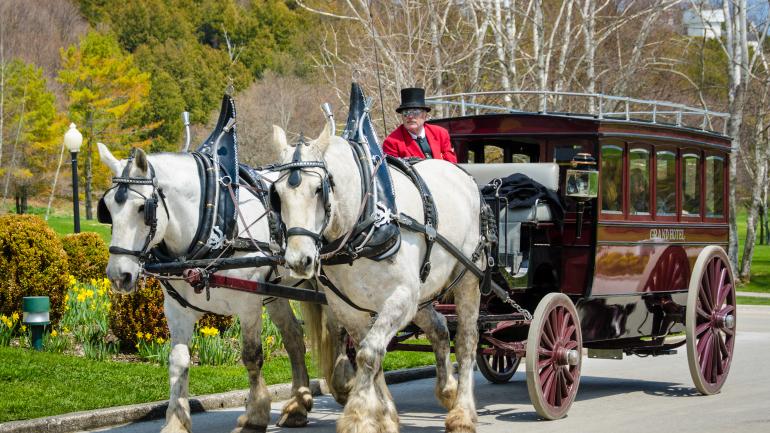 马车游览 马车游览