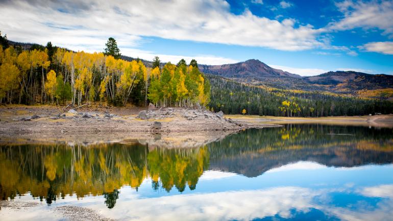 秋天的树林倒映在洋基草甸水库的湖面上