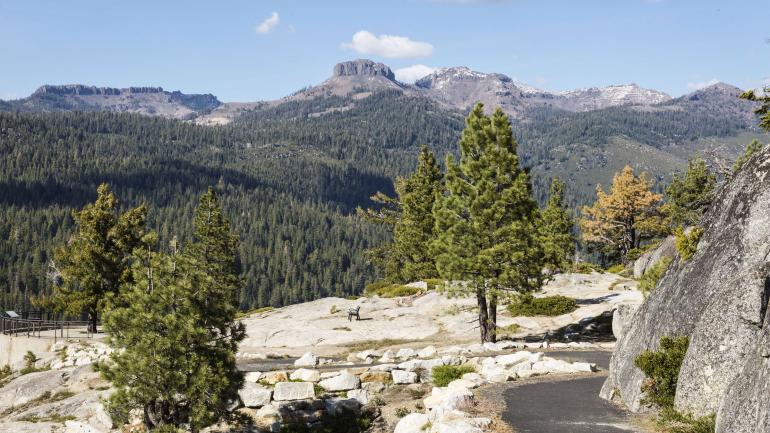 令人叹息的索诺拉景观