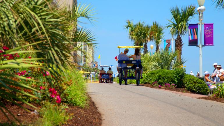 沿海骑着双人自行车吹风 沿海骑着双人自行车吹风